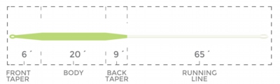 TroutBoss_CHARTREUSEIVORY-_TaperChart.jpg