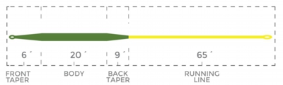 TroutBoss_GREENYELLOW_TaperChart.jpg