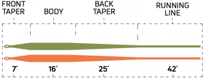 444_modern_trout_taper_profile.jpg