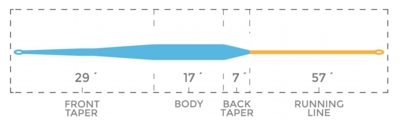 MediumBellySpey_TaperChart.jpg