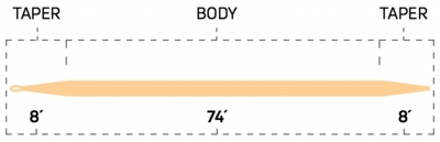 444peach_dt_taper_profile.jpg