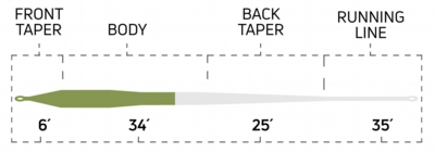 SalmonSteelhead_Moss_SpecialtySeries_SizeChartTaperChart.jpg