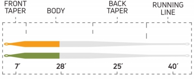 longdistance_taper.jpg