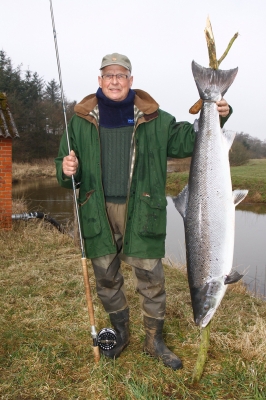 huge-salmon-1-small.jpg