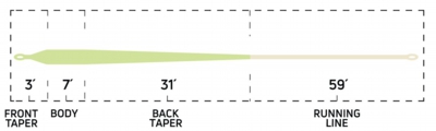 TarponTaper_TropicPlus_TaperChart_2658e185-376b-4514-9177-219203ec92a4.jpg