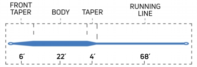 StripedBassIntermediate_ColdSaltSeries_TaperChart.jpg