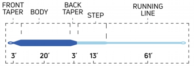 StripedBassBlitz_ColdSaltSeries_TaperChart.jpg