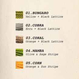 snake_colors.jpg