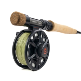 EUROREELBUTT (1).jpeg