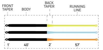 Rock_Bottom_Taper_Chart.jpg
