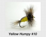 yellowhumpy10.jpg