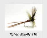 itchenmayfly10.jpg