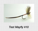 testmayfly10.jpg