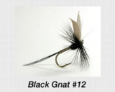 blackgnat12.jpg