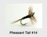pheasanttail14.jpg