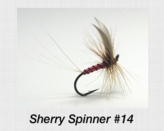 sherryspinner14.jpg